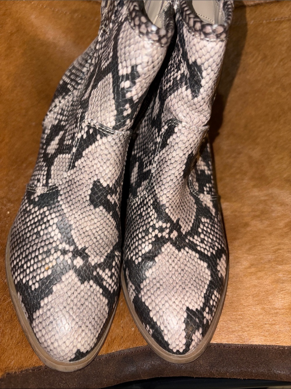 Carlos by Carlos Santana Snake-Print Ankle Booties in Black & Cream